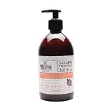 MI REBOTICA | Champú con Extracto de Cebolla Olor Cereza | Champú Fortalecedor Cabello | Vitaminas para el Cabello | Champu Antienvejecimiento y Antioxidante (500 ml)