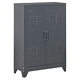 HOMCOM Armario Metálico de Almacenamiento con Doble Puerta de Bisagras y 2 Baldas Ajustables Multiusos para Oficina Salón Dormitorio 75x33x110 cm Gris