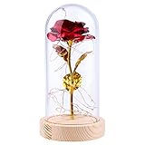 Rosa en tarro de cristal, rosa eterna en tarro de cristal con luz LED, romántica, regalo para mujer, novia, Navidad, San Valentín, aniversario, cumpleaños, boda, decoración principal (dorado)