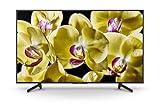 Sony KD-49XG8096 - Televisor 49' 4K Ultra HD HDR LED con Android TV (Motionflow XR 400 Hz, 4K X-Reality Pro, Pantalla TRILUMINOS, Wi-Fi), Negro